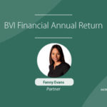 BVI-Financial-Annual-Return