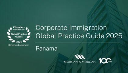 Banner web ing Guide Contributo-Corporate Inmigration 2025