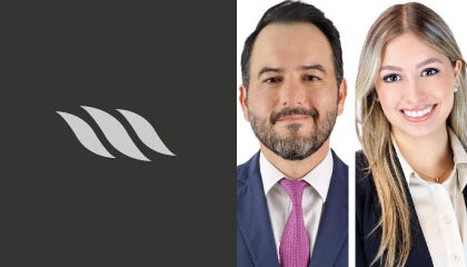 vidal-y-ari