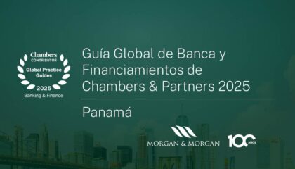 notiweb-Guía Global Banca y Finan-Ch&P-2025-esp