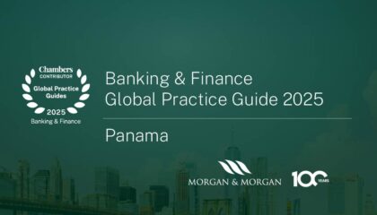 notiweb-Guía Global Banca y Finan-Ch&P-2025-ing