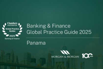 notiweb-Guía Global Banca y Finan-Ch&P-2025-ing
